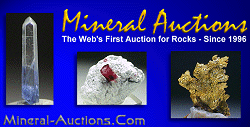 Click to visit mineral-auctions.com dealers page